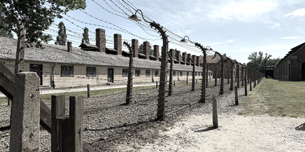Who the Law Forgets: Auschwitz, America and the Illusion of Justice